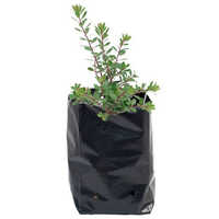 Nursery bags