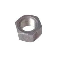 Rim nut