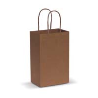 Disposable paper bag