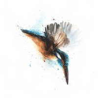 पक्षी पेंटिंग