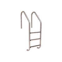 Stainless steel ladder
