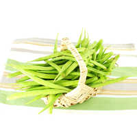 Guar gum plant