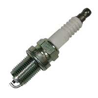 Engine plug