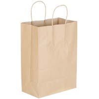 Plain paper bag