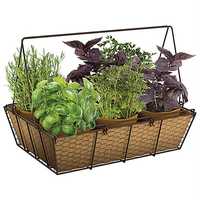 Basket Planter