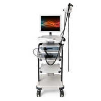 Endoscopy system