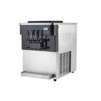 Ice cream pasteurizer