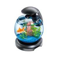 Mini aquarium