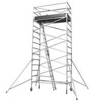 Aluminium scaffolding ladder