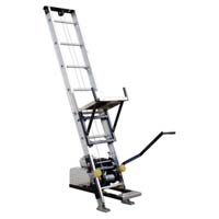 Platform hoist