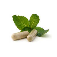 Herbal Food