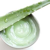 Aloe vera pulp