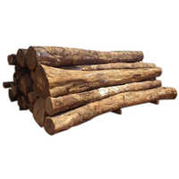 Gmelina Logs