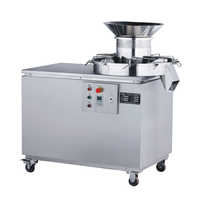 Wet granulator