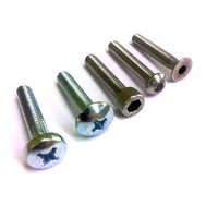 Terminal screw