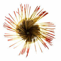 Cherry incense sticks