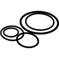 Neoprene rubber o rings
