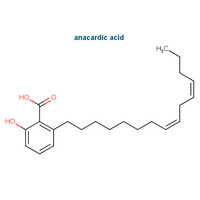 एनाकार्डिक एसिड