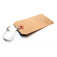 Printed paper tags