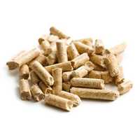 Biomass wood pellet