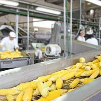 Food processing consultants