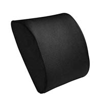 Back support cushion