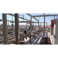 Gas distribution system