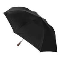 Folding umbrella