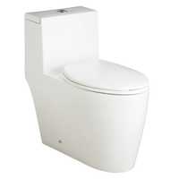 One Piece Toilet