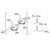 Cellulose Acetate Butyrate