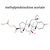 Methylprednisolone Acetate