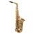 Alto Saxophone