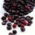 Cranberry Chocolate