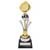 Designer Trophy
