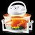 Halogen Oven