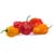 Scotch Bonnet Pepper