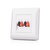 Speaker Sockets