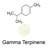 Gamma Terpinene