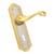 Brass Mortise Handle