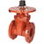 Indicator Valves