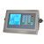 Portable Weighing Indicator