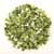 Dehydrated Chive
