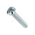 Slotted Screw