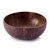 Coconut Shell Bowl