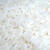 Ir36 Rice