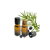 Juniper Oil