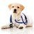 Veterinary Services