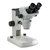 Stereo Microscope