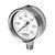 Stainless Steel Gauges