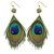 Peacock Earrings